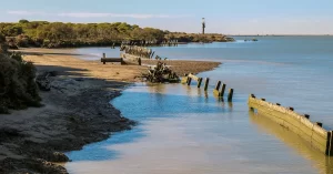 O Parque Nacional de Doñana