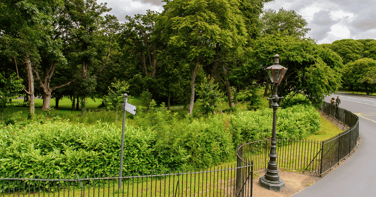 Phoenix Park: o maior parque urbano da Europa em Dublin