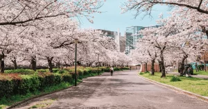 Osaka, Japão - melhores cidades do mundo para se viver